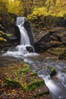 autunno autunno