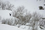 Il duro inverno