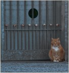 la casa delle lumache...