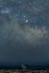 L'alberello e la Via Lattea L'alberello e la Via Lattea