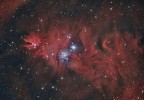 Cone e Christmas tree nebula Cone e Christmas tree nebula
