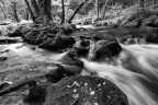 Golitha Falls 1/2