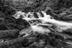 Golitha Falls 2/2