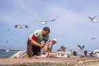 Essaouira 2016 Essaouira 2016