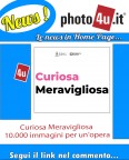 Curiosa Meravigliosa - 10.000 immagini per un'opera