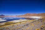 laguna Colorada