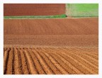 Campagne Campagne