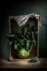 Vegetables Box Vegetables Box