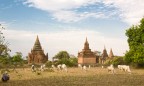 Tra i templi di Bagan