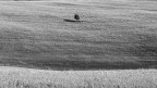 Giornata della Terra Giornata della Terra