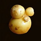 Solo per documentare la fantasia della natura.

kampes