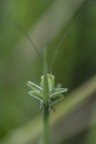 MacroFriends_Mag2021 MacroFriends_Mag2021