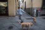 Il dog sitter Il dog sitter
