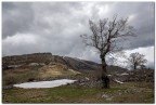 Tra l'inverno e la primavera Tra l'inverno e la primavera