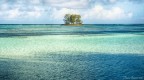 L'isola L'isola