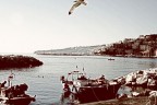 Di Napoli Di Napoli
