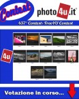 437� Contest: Free4U Contest - Votazione in corso