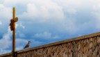 osservare oltre il muro