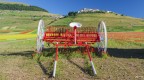 Ranghinatore.. nei colori della piana di Castelluccio. Ranghinatore.. nei colori della piana di Castelluccio.