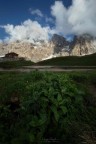 Pale di San Martino Pale di San Martino