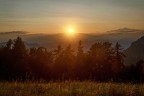 verso sera verso sera