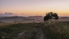 I primi colori dell'alba.. I primi colori dell'alba..
