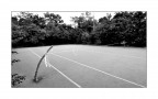 Wimbledon Wimbledon