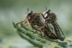 Macro_Orizz_Ago21 Macro_Orizz_Ago21