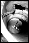 Full Pipe Full Pipe