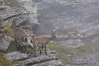 Madre e figlio