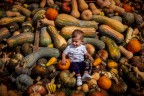 Chi l'ha detto che i bambini nascono sotto i cavoli? Chi l'ha detto che i bambini nascono sotto i cavoli?