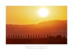 Cipressi all'alba