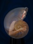 NAUTILUS...... NAUTILUS......