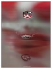 acqua splash... acqua splash...