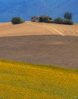 Le mie Marche Le mie Marche