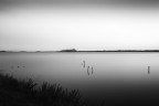 Silenzio