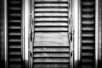 scale