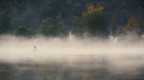 Solitario sul lago Solitario sul lago