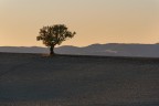 La carezza della sera La carezza della sera