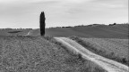 La lunga stradina di campagna.. La lunga stradina di campagna..