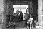 Dall'ortolano Dall'ortolano