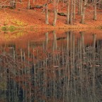 Autumn sensation Autumn sensation