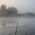 famigliola sul Mincio...