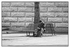Sulla Panchina Sulla Panchina