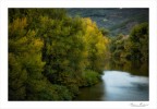 Autunno sulle sponde dell'Arno Autunno sulle sponde dell'Arno