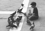Piccioni Piccioni