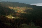 Accendere l'autunno Accendere l'autunno