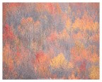 Autumn painting Autumn painting