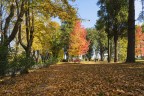 Giardini d'autunno..