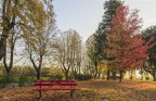 Giardini d'autunno..2 Giardini d'autunno..2
